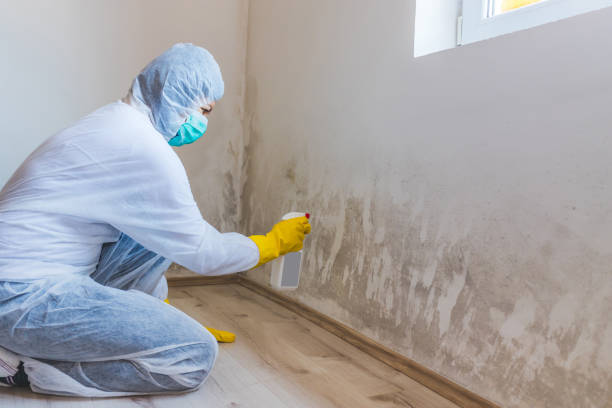 Licensed Crawl Space Mold Removal service in Chevy Chase, MD - WQB Mold Removal