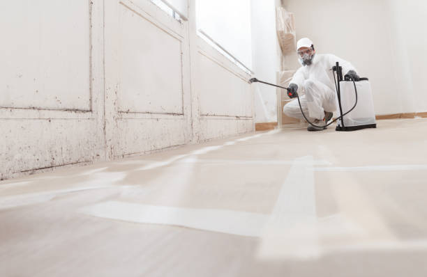 24/7 Emergency Crawl Space Mold Removal experts in Chevy Chase, MD