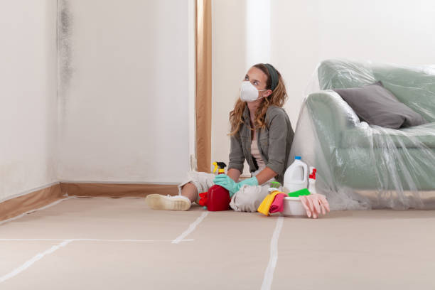 Reliable Crawl Space Mold Removal contractor in Chevy Chase, MD by WQB Mold Removal