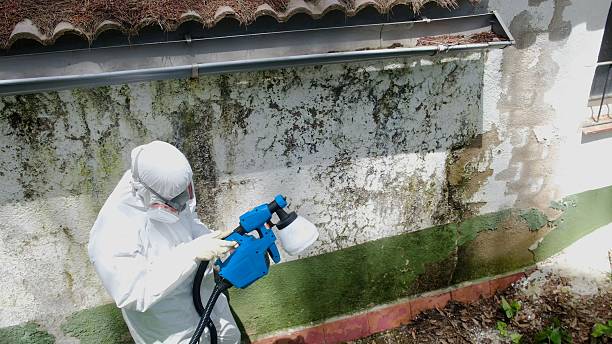 Top rated local Crawl Space Mold Removal specialists in Chevy Chase, MD